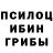 Псилоцибиновые грибы мухоморы Kostey Starikov