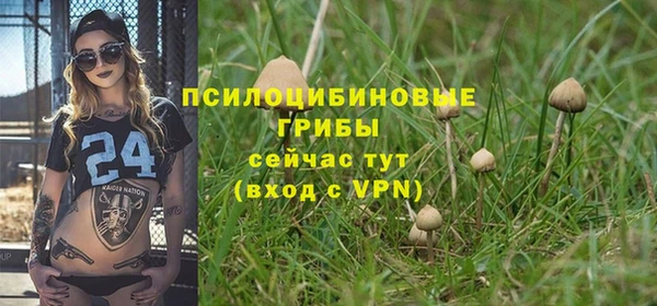 спайс Алексин