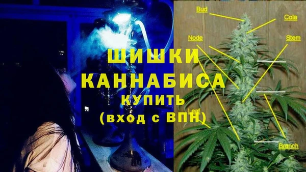 гашик Армянск