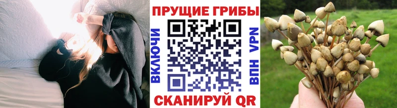 Галлюциногенные грибы Cubensis  blacksprut ссылка  это формула  закладка  Заполярный 